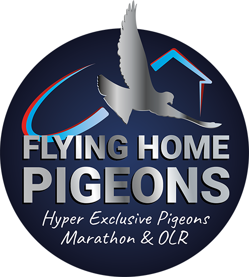Flying Home Pigeons Logo